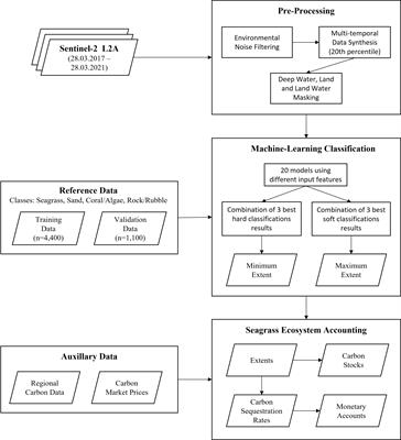 Bahamian seagrass extent and blue carbon accounting using Earth Observation